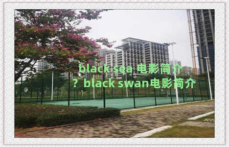 black sea 电影简介？black swan电影简介